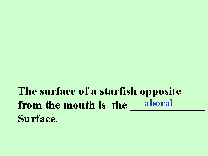 The surface of a starfish opposite aboral from the mouth is the _______ Surface.
