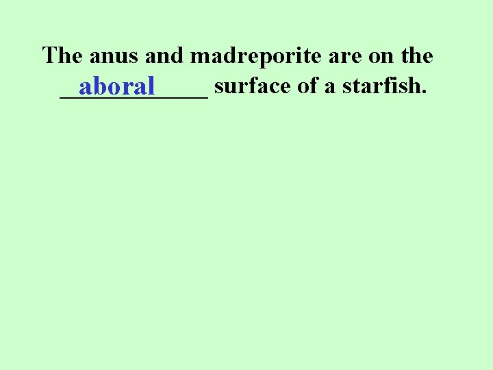 The anus and madreporite are on the ______ surface of a starfish. aboral 