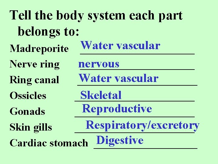 Tell the body system each part belongs to: vascular Madreporite Water ___________ nervous Nerve