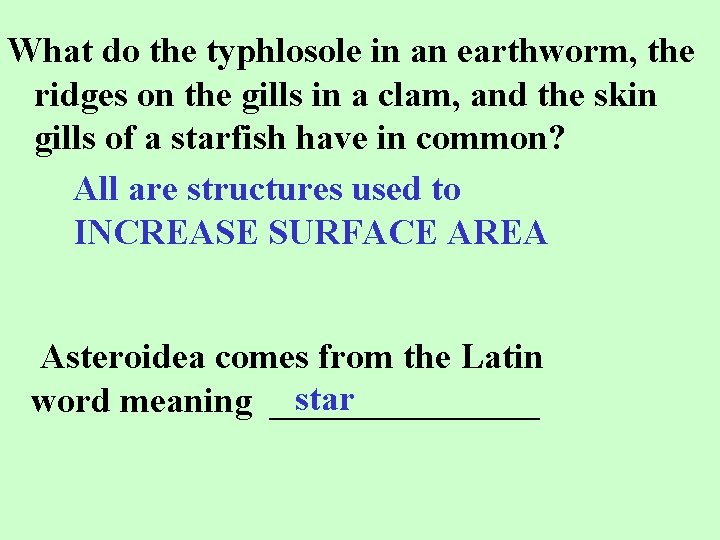 What do the typhlosole in an earthworm, the ridges on the gills in a