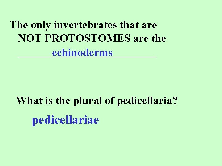 The only invertebrates that are NOT PROTOSTOMES are the _____________ echinoderms What is the