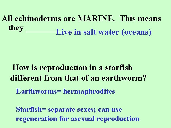 All echinoderms are MARINE. This means they ________ Live in salt water (oceans) How