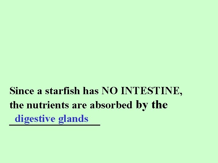 Since a starfish has NO INTESTINE, the nutrients are absorbed by the digestive glands