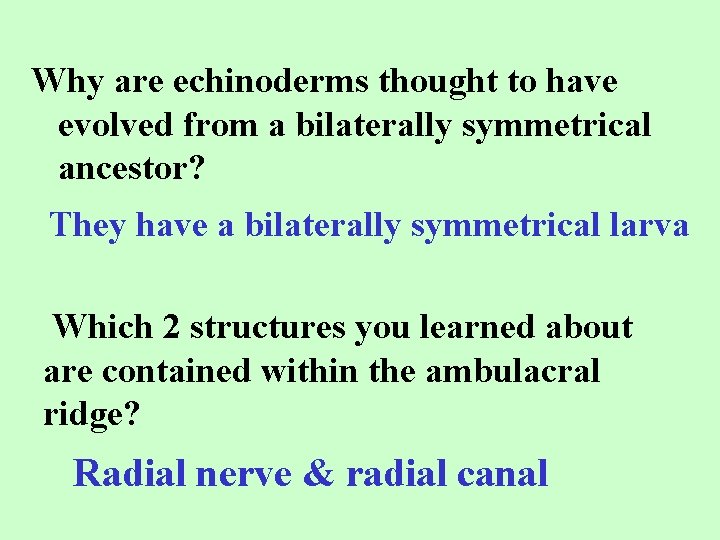 Why are echinoderms thought to have evolved from a bilaterally symmetrical ancestor? They have