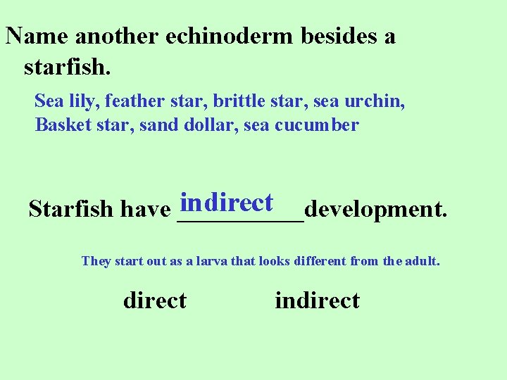Name another echinoderm besides a starfish. Sea lily, feather star, brittle star, sea urchin,