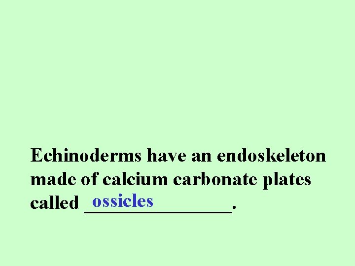 Echinoderms have an endoskeleton made of calcium carbonate plates ossicles called ________. 