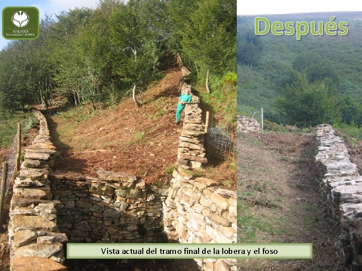 Después Vista actual del tramo final de la lobera y el foso 