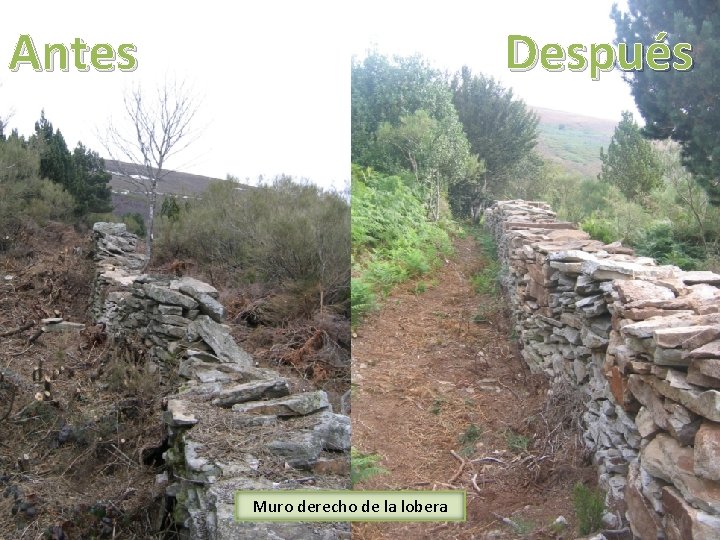 Antes Después Muro derecho de la lobera 