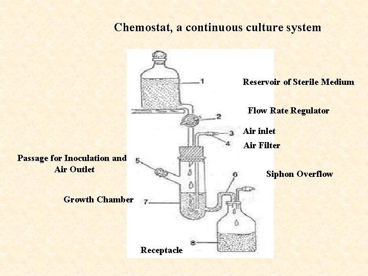 Chemostat, a continuous culture system Reservoir of Sterile Medium Flow Rate Regulator Air inlet