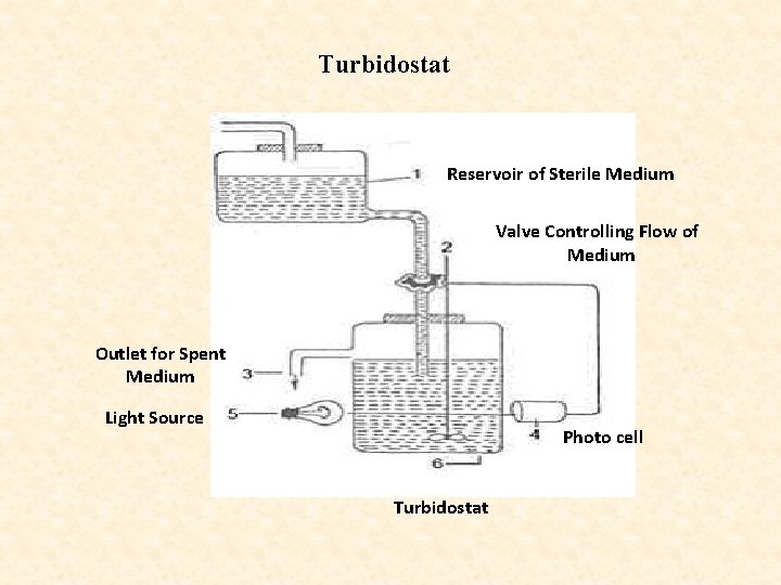 Turbidostat Reservoir of Sterile Medium Valve Controlling Flow of Medium Outlet for Spent Medium