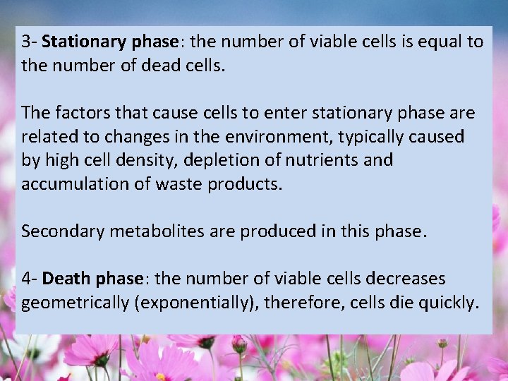 3 - Stationary phase: the number of viable cells is equal to the number