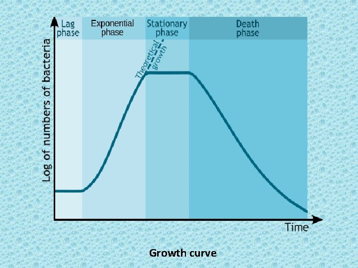 Growth curve 
