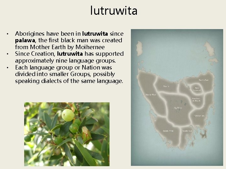 lutruwita • • • Aborigines have been in lutruwita since palawa, the first black