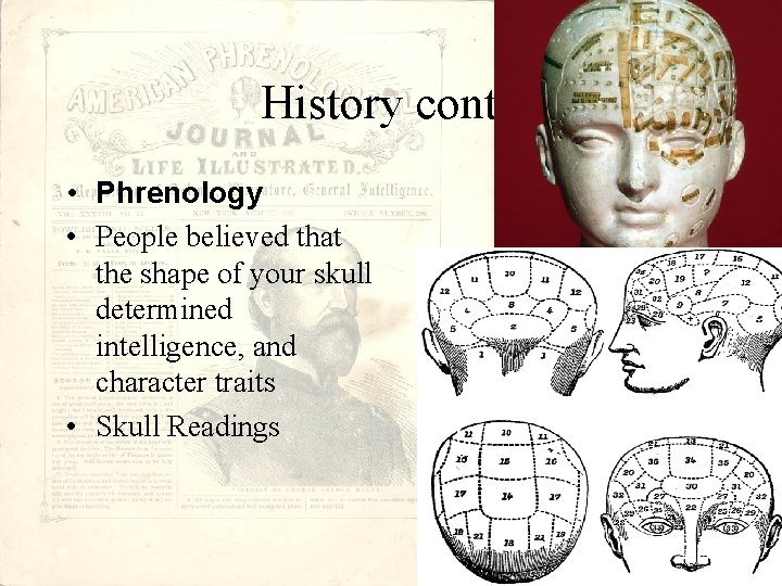 History cont. . • Phrenology • People believed that the shape of your skull