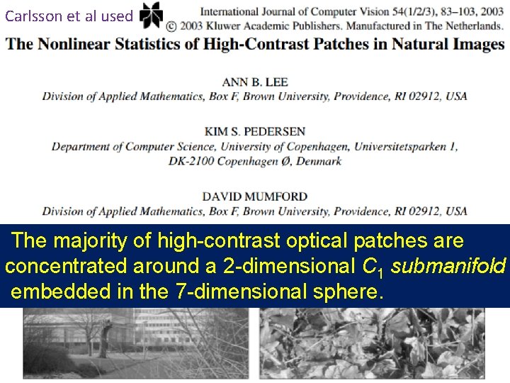 Carlsson et al used The majority of high-contrast optical patches are concentrated around a