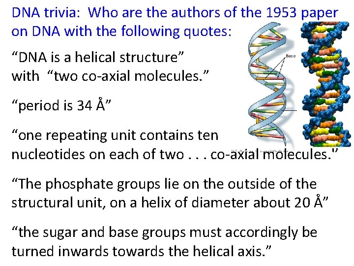 DNA trivia: Who are the authors of the 1953 paper on DNA with the
