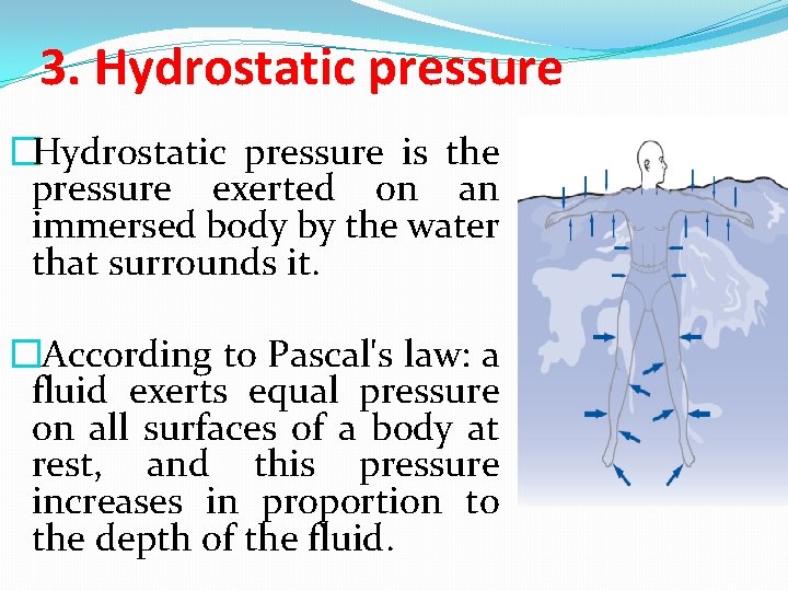 3. Hydrostatic pressure �Hydrostatic pressure is the pressure exerted on an immersed body by