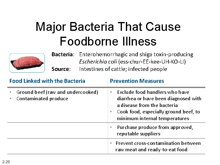 Major Bacteria That Cause Foodborne Illness Bacteria: Enterohemorrhagic and shiga toxin-producing Escherichia coli (ess-chur-EE-kee-UH-KO-LI)