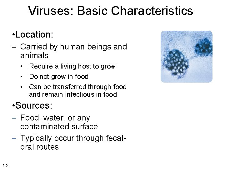 Viruses: Basic Characteristics • Location: – Carried by human beings and animals • Require
