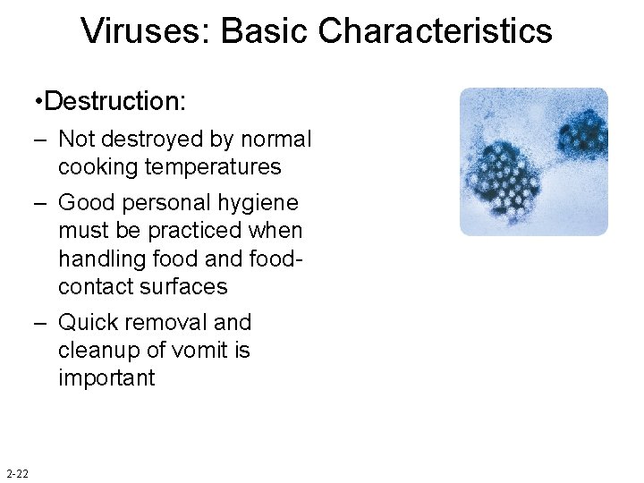 Viruses: Basic Characteristics • Destruction: – Not destroyed by normal cooking temperatures – Good