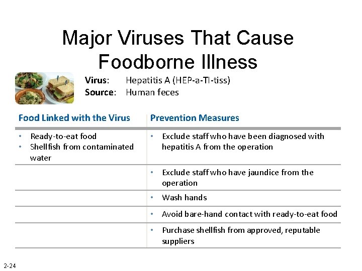 Major Viruses That Cause Foodborne Illness Virus: Hepatitis A (HEP-a-TI-tiss) Source: Human feces Food