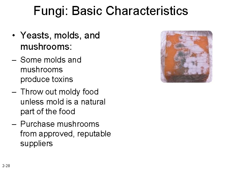 Fungi: Basic Characteristics • Yeasts, molds, and mushrooms: – Some molds and mushrooms produce