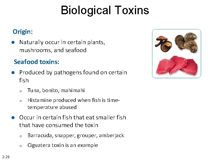 Biological Toxins Origin: l Naturally occur in certain plants, mushrooms, and seafood Seafood toxins: