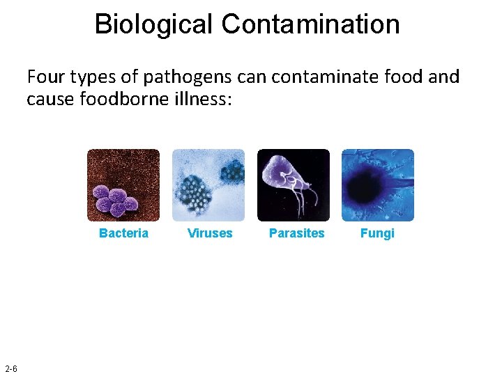 Biological Contamination Four types of pathogens can contaminate food and cause foodborne illness: Bacteria