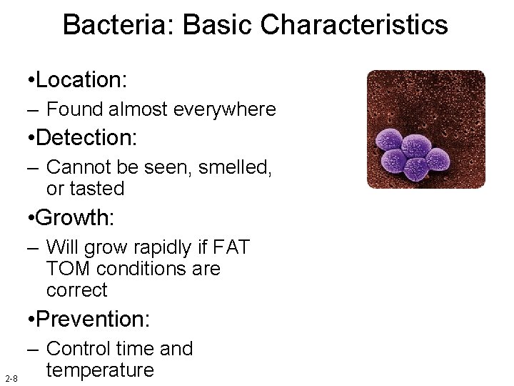 Bacteria: Basic Characteristics • Location: – Found almost everywhere • Detection: – Cannot be
