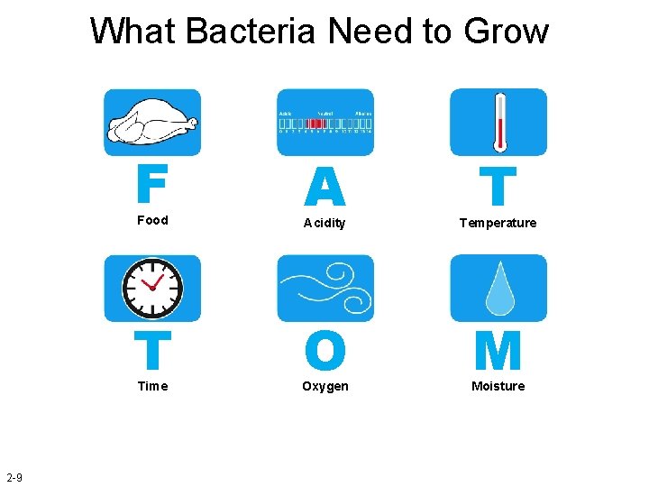 What Bacteria Need to Grow F T Food Acidity Temperature T O M Time