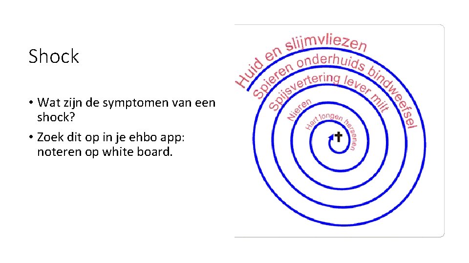 Shock • Wat zijn de symptomen van een shock? • Zoek dit op in