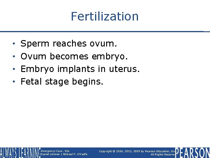 Fertilization • • Sperm reaches ovum. Ovum becomes embryo. Embryo implants in uterus. Fetal