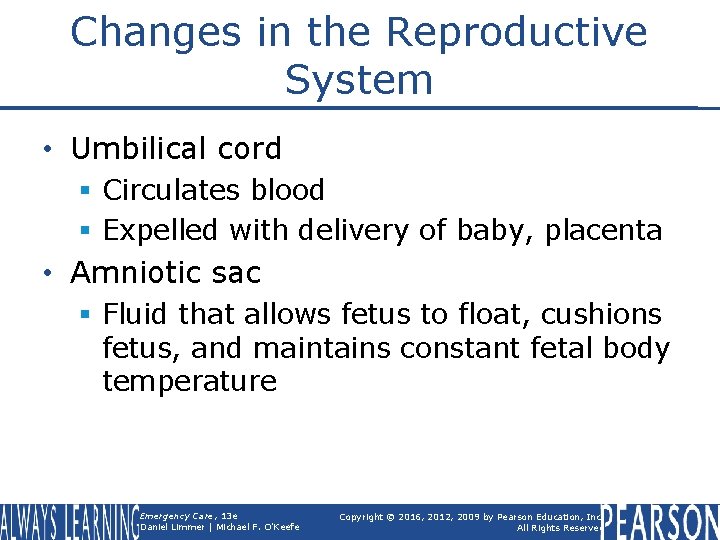 Changes in the Reproductive System • Umbilical cord § Circulates blood § Expelled with