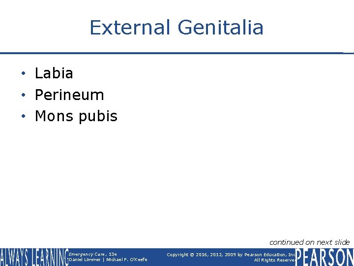 External Genitalia • Labia • Perineum • Mons pubis continued on next slide Emergency