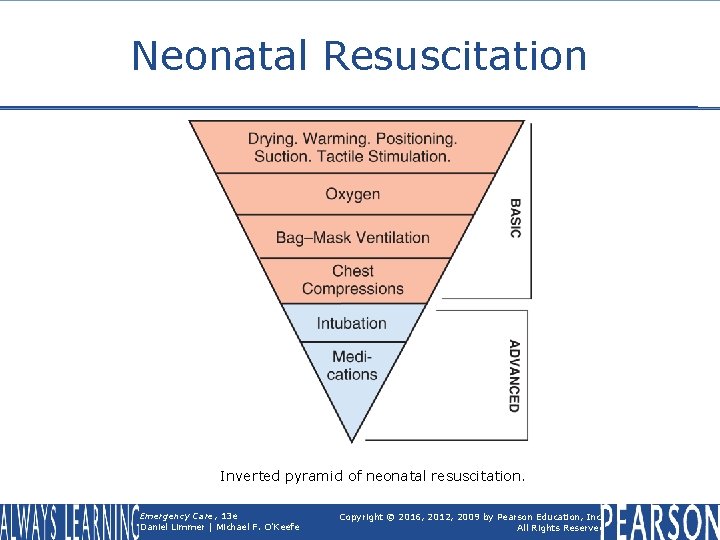 Neonatal Resuscitation Inverted pyramid of neonatal resuscitation. Emergency Care, 13 e Daniel Limmer |