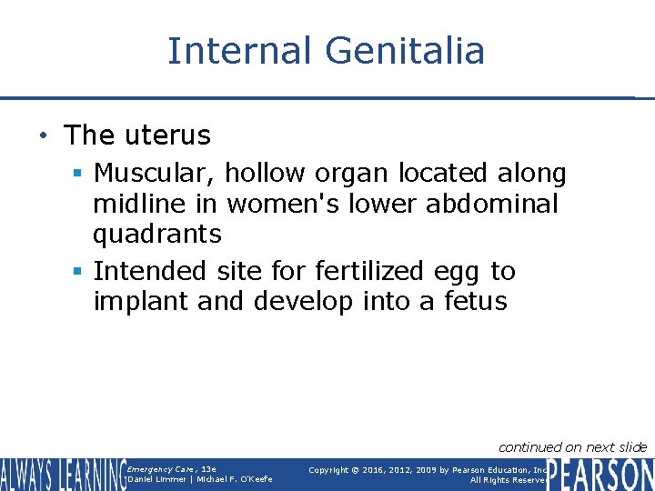 Internal Genitalia • The uterus § Muscular, hollow organ located along midline in women's