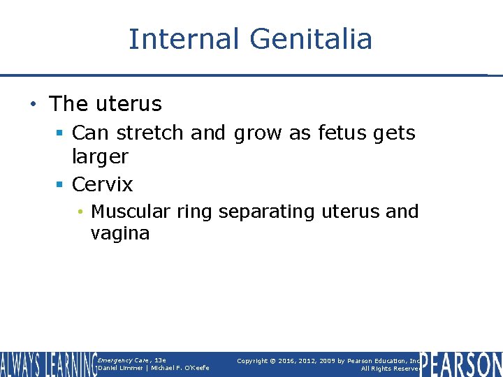 Internal Genitalia • The uterus § Can stretch and grow as fetus gets larger