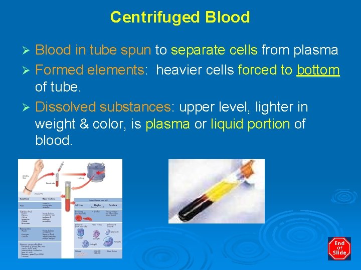 Centrifuged Blood in tube spun to separate cells from plasma Ø Formed elements: heavier