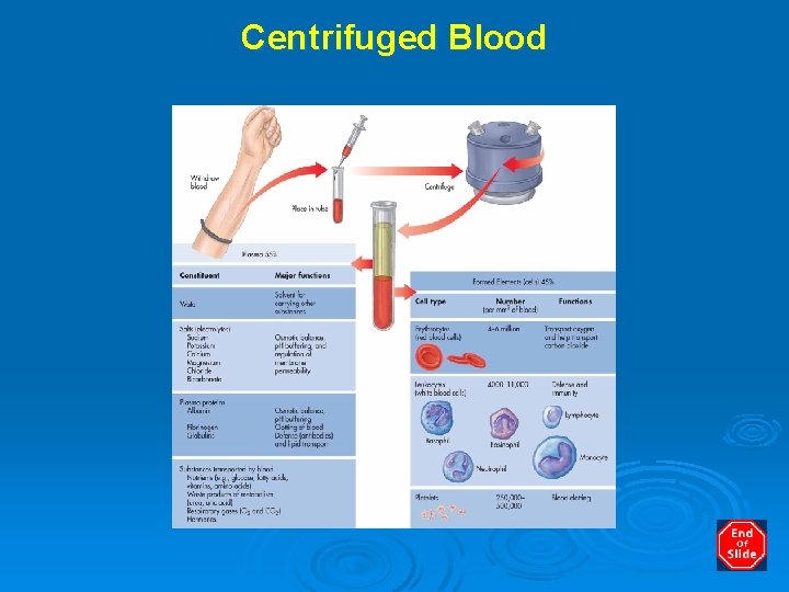 Centrifuged Blood 