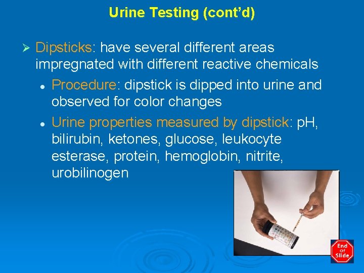Urine Testing (cont’d) Ø Dipsticks: have several different areas impregnated with different reactive chemicals