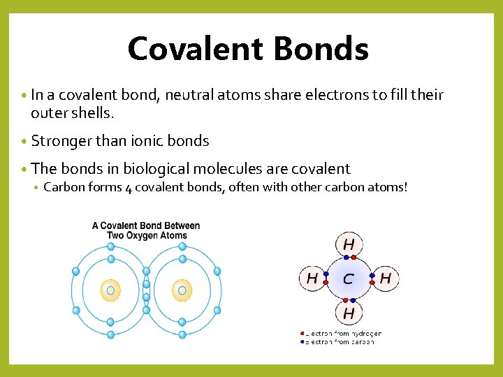 Covalent Bonds • In a covalent bond, neutral atoms share electrons to fill their