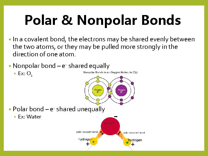 Polar & Nonpolar Bonds • In a covalent bond, the electrons may be shared