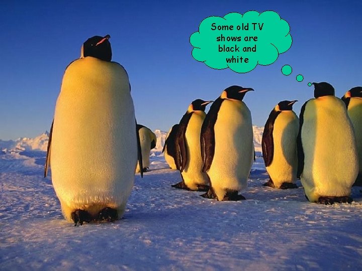 Some old TV shows are black and white 