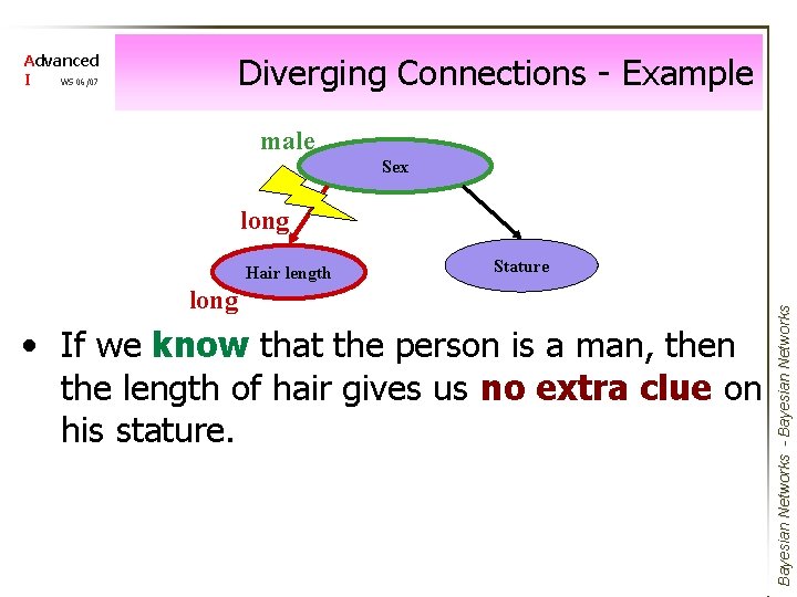Diverging Connections - Example Advanced I WS 06/07 male Sex long Stature long •
