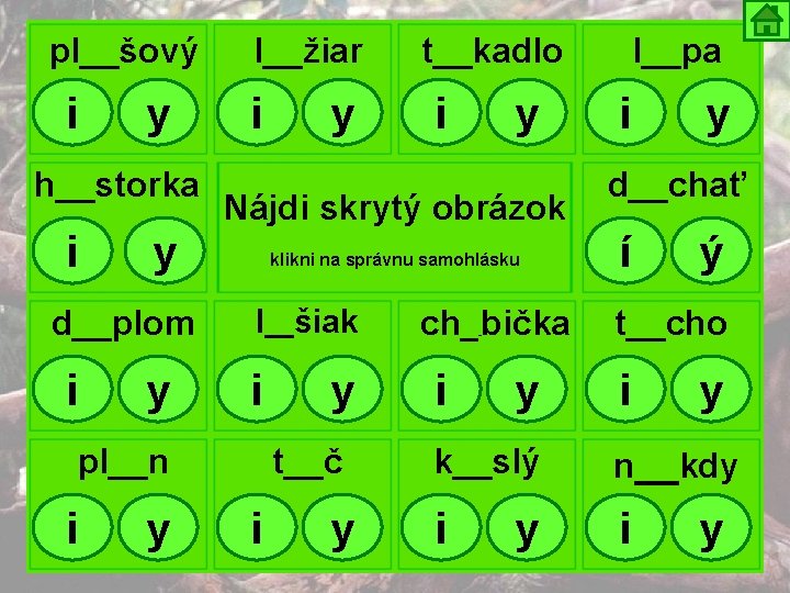pl__šový i y h__storka i i y y i y klikni na správnu samohlásku