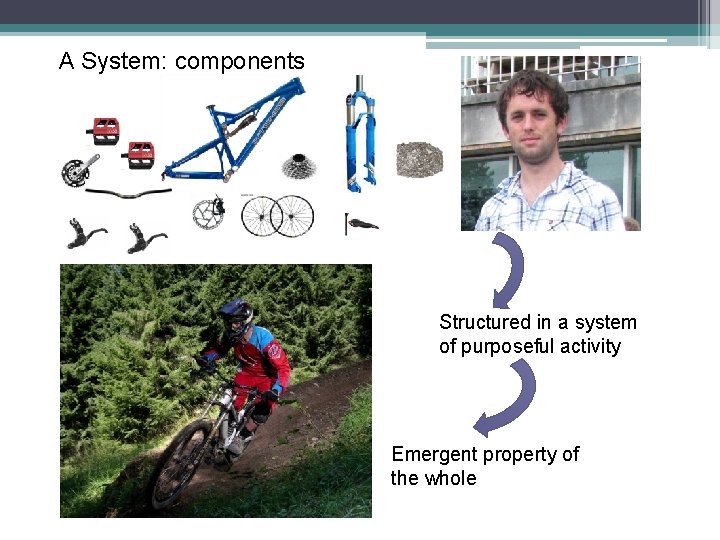 A System: components Structured in a system of purposeful activity Emergent property of the