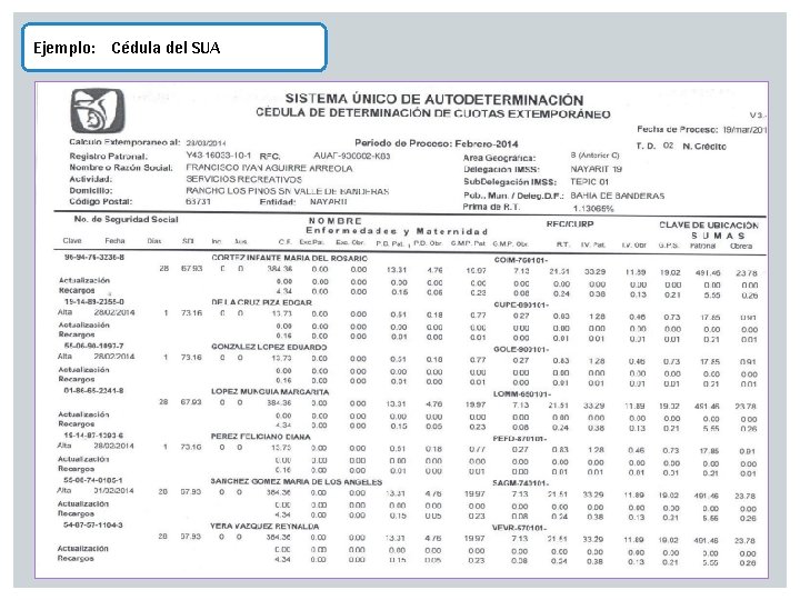 Ejemplo: Cédula del SUA 