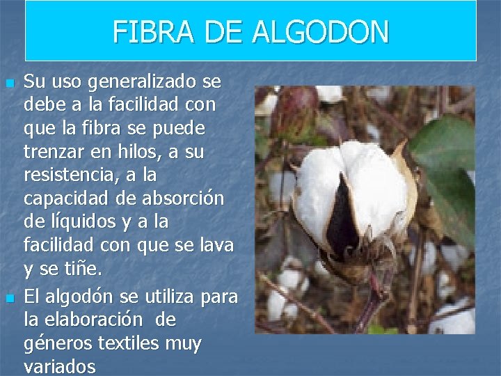 FIBRA DE ALGODON n n Su uso generalizado se debe a la facilidad con