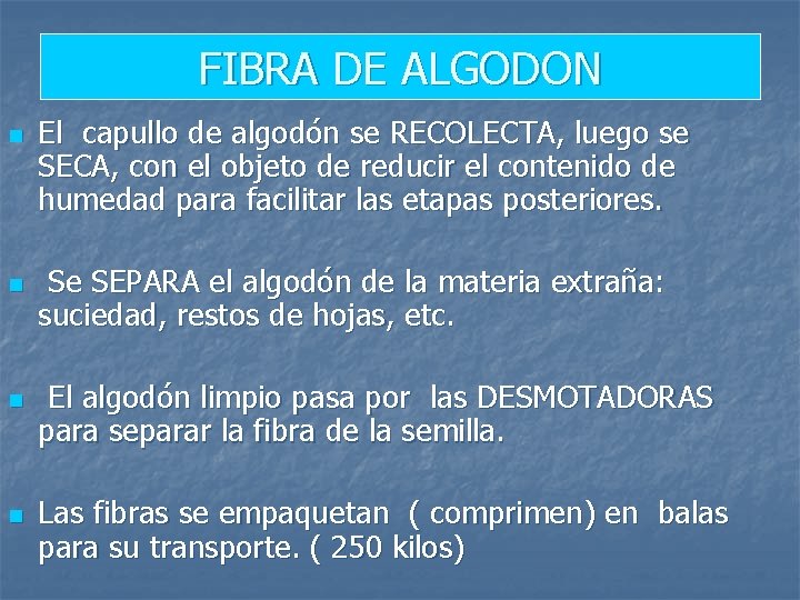 FIBRA DE ALGODON n n El capullo de algodón se RECOLECTA, luego se SECA,