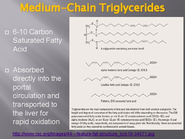 Medium-Chain Triglycerides 6 -10 Carbon Saturated Fatty Acid Absorbed directly into the portal circulation